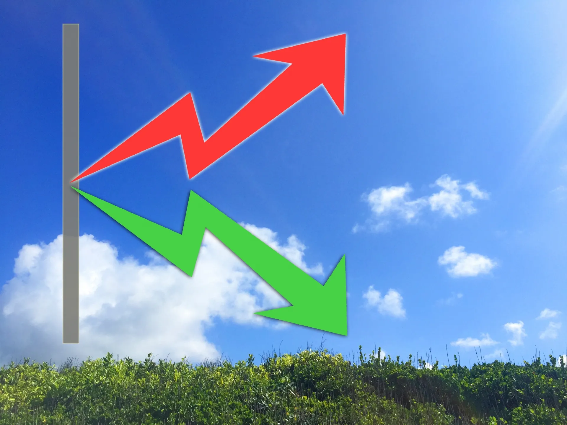 自粛生活をきっかけに運送会社の2極化が進む