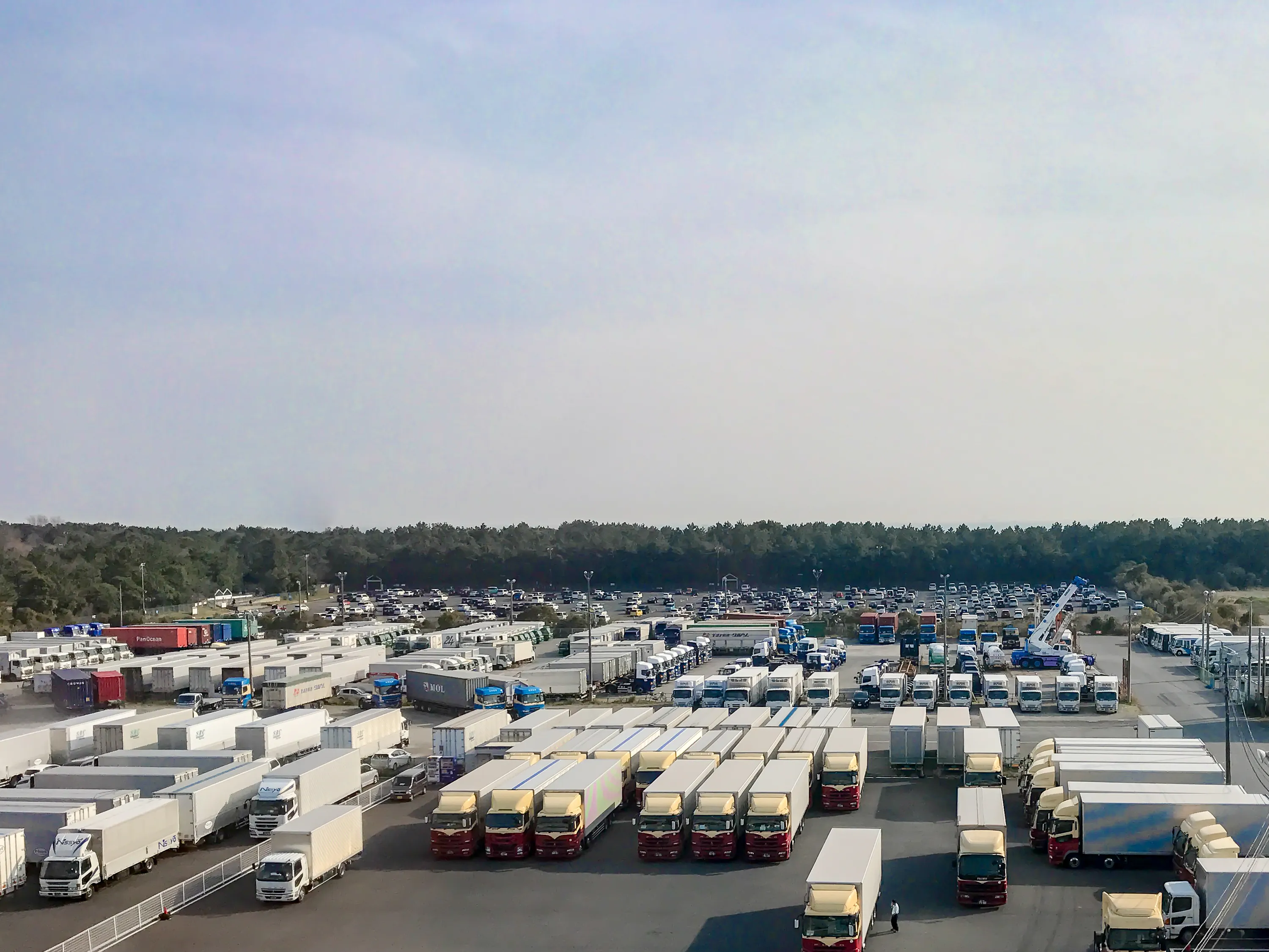 運転には大型免許!仕事の幅を広げよう