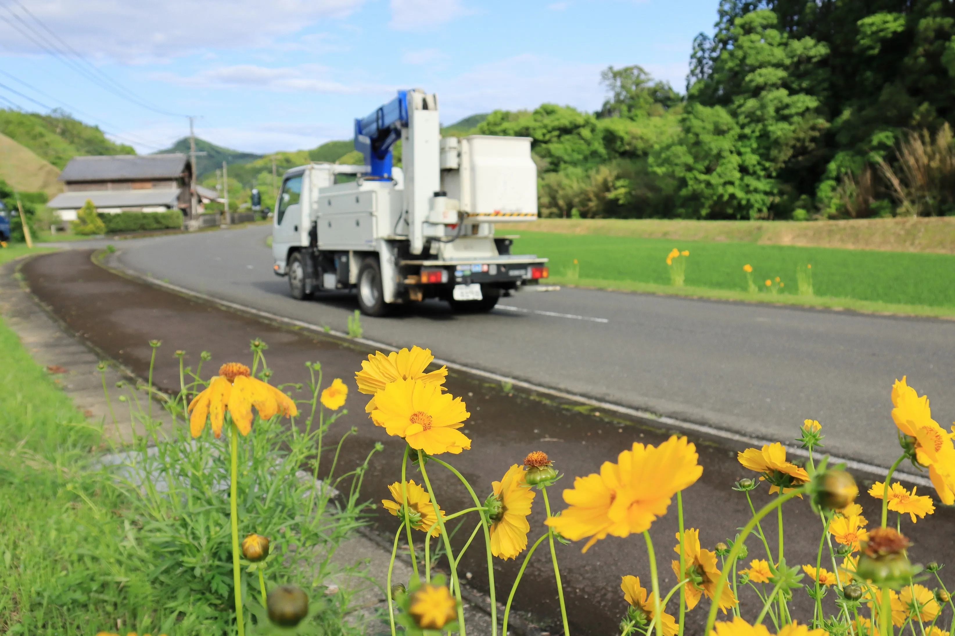 トラック運転手に将来性はあるか？現実と未来を徹底解説